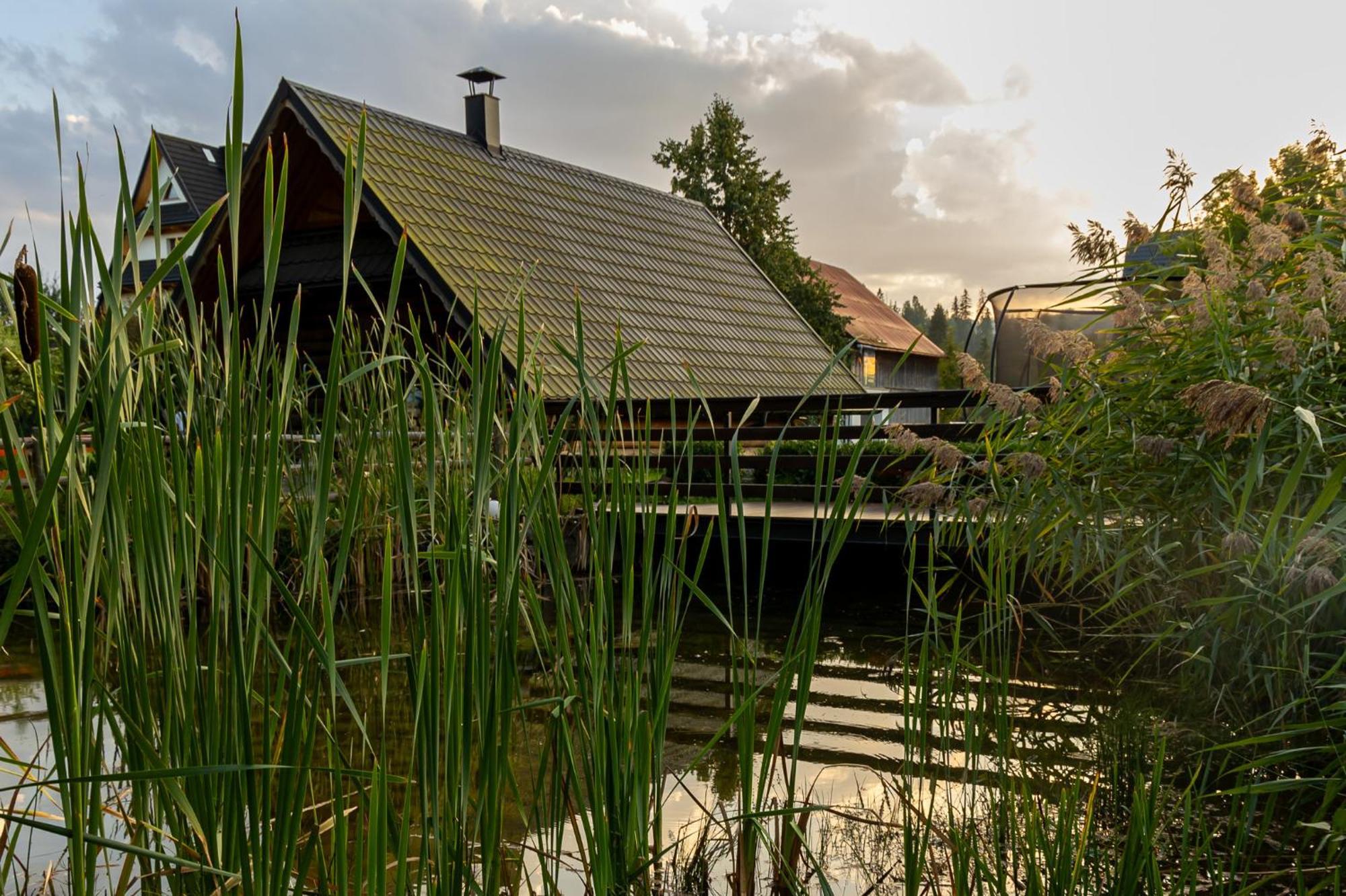 Willa Pod Kozincem Czarna Góra Exteriér fotografie